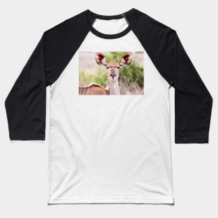 Female Kudu Portrait - Krüger National Park Baseball T-Shirt